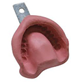 Alginate Dentaire