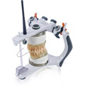 Articulators