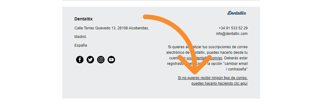 Baja Newsletter