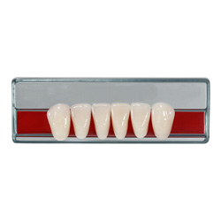 Dents Acriliques