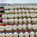 Dents Acryliques