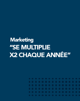 Section Marketing