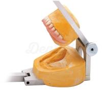 Speiko Dental Articulator