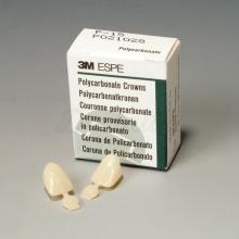 Coronas Provisionales de Policarbonato (5 uds)