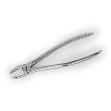 Tooth Extraction Forceps: Stainless Steel Exodontic Instrument