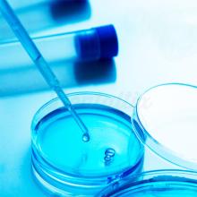 Kit de Teste de Legionella na Água para Equipas Dentárias