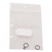 Anello torico per Prophy-Mate NEO