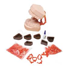 Disposable Plastic Articulator - FULL KIT