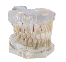 Macromodel with Complete Pathology