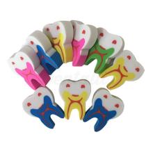 Molar-Shaped Erasers (50 pcs)
