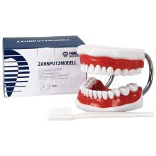 BIG Toothbrush with model part