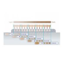 Clearfil AP-X: Guia de cores