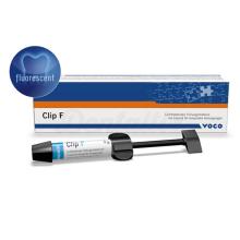 Clip F: Temporary Filling Material (Syringe 2 x 4 g)