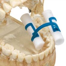 Posicionador Porta Algodones Intraoral