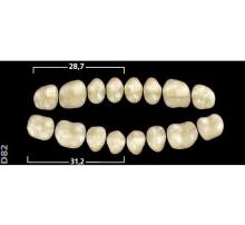 Gnathostar A-D: Lower Posterior Acrylic Teeth (8 units)
