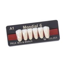 Mondial: Lower Anterior Acrylic Teeth (6 units)
