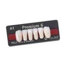 Premium: Lower Anterior Acrylic Teeth (6 units)