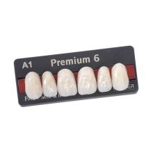 R6 dents antérieureses supérieuress PREMIUM