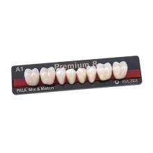 Premium: Lower Posterior Acrylic Teeth (8 units)