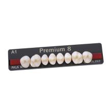 Premium: Upper Posterior Acrylic Teeth (8 units)