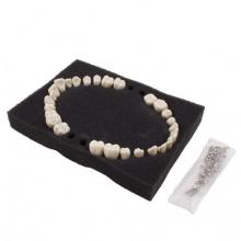 BADER NISSIN PAEDRIACTIC REPLACEMENT TEETH