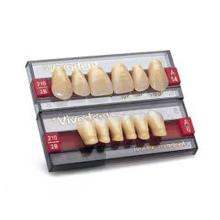 Upper anterior VIVODENT S PE teeth A66