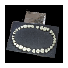 Screw on teeth for replacement