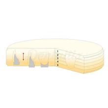 Disque en zircone multicouche Geo-5 CAD/CAM : Disque en zircone à cinq couches (diamètre 98,5 mm)