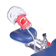 Simplicity: Dental Phantom Dummy Complete with Anchorage