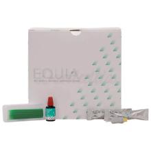 Equia: The glass ionomer sealing material Ketac