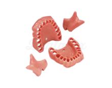 Elastic and Replaceable Gingiva for model AG-3 IB