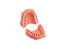 Elastic and Replaceable Gingiva for Model AG-3 H