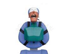 Complete simulator model: Dental phantom.
