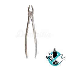 Extraction Forceps for Exodontic Extraction