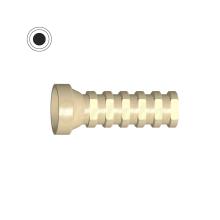 Cilindro provvisorio esagonale interno (Biomet 3i® Certain® ø3.4)