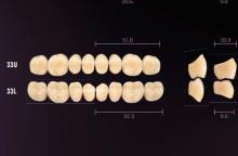 Idealis: Upper Posterior Acrylic Teeth (8 units)
