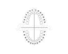 ANA-4: Denti di ricambio per Tipodonto ANA-4 V