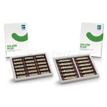 Major Plus Vita : Dents postérieures supérieures (8 unités)