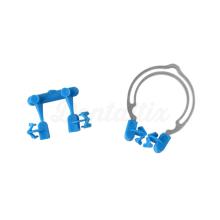 Matrix Ring: Ring Sectional Matrices