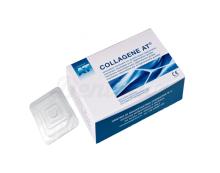 Collagene At Membrane