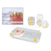 Membranbox: Membrane box