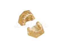 AM-5 E: Realistic extraction type for paediatric dentistry