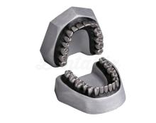 A-E M: First Exercise Metal Extraction Model