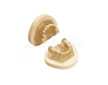 AM-5 E A: Extraction Type for Pediatric Dentistry with Mounting Plates
