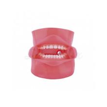 Simulator model: Dental phantom - Practice
