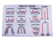 Practical Suture Foam Model