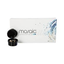 Mosaic: Starter kit composito