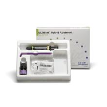 Multilink Hybrid Abutment: Starter Kit
