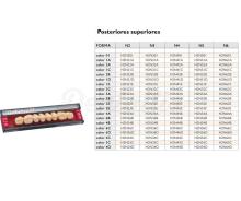 SR Orthotyp S PE: Acrylic Teeth for Lower Molars (8 units)