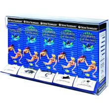 Organizer of Elastics for 5 Boxes of Intraoral Elastics.